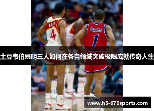 土豆韦伯姚明三人如何在各自领域突破极限成就传奇人生